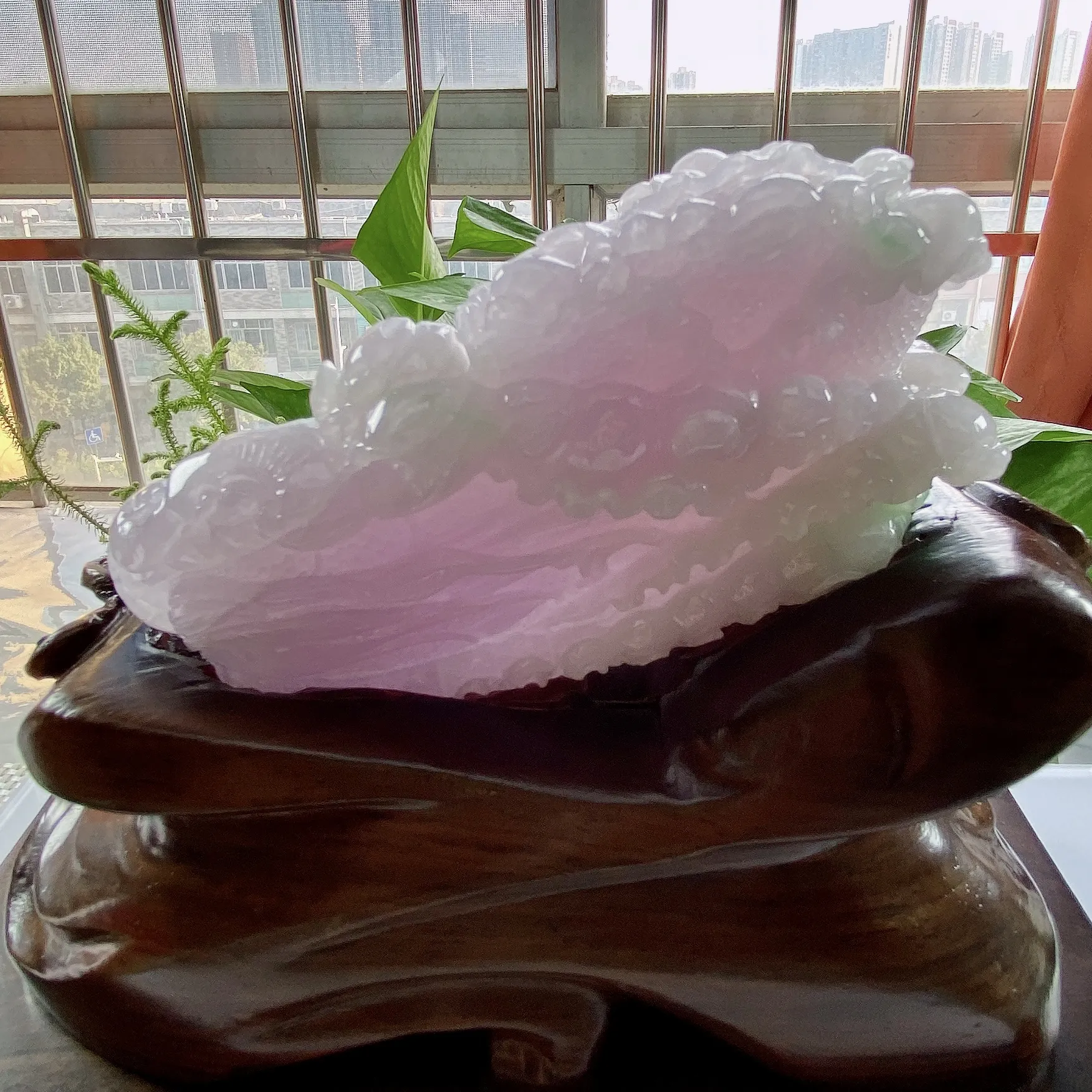 缅甸天然翡翠A货，精雕冰糯种春彩白菜摆件，尺寸：整体220/100/170mm，裸石130/29/68mm，重量： 裸石403g，整体1.7公斤