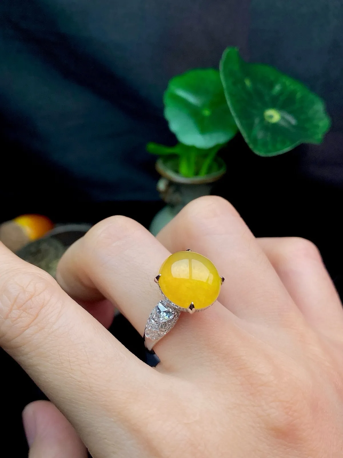 【冰种黄蛋戒指】种水上乘，晶莹剔透，纯净通透，18k金钻精美镶嵌，裸石尺寸12.6*11.9*5.6毫米，圈口可改