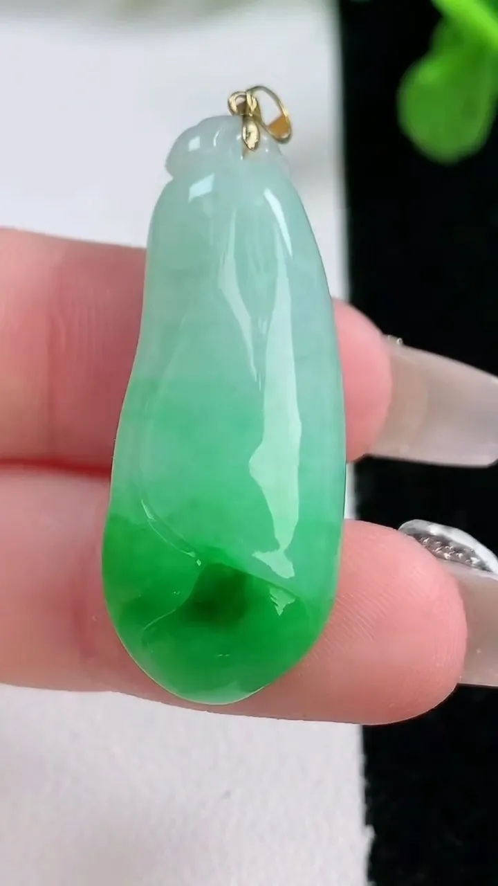 天然A货翡翠玉兰花吊坠，尺寸36-14.7-8.4，重量:7.25g
1月1日