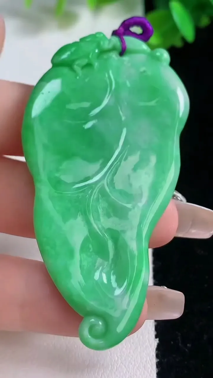 天然A货翡翠金枝玉叶 叶子吊坠，尺寸65-31.7-5.3，重量:23.06g
1月4日