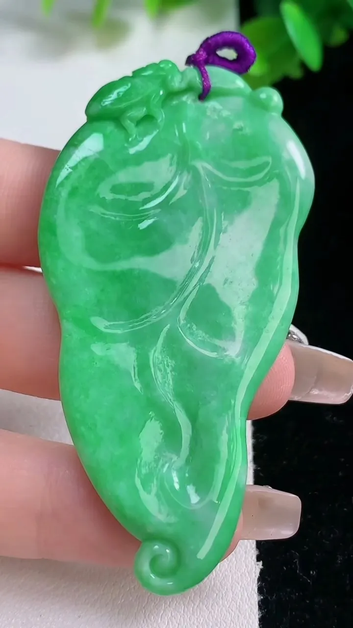 天然A货翡翠金枝玉叶 叶子吊坠，尺寸65-31.7-5.3，重量:23.06g
1月4日