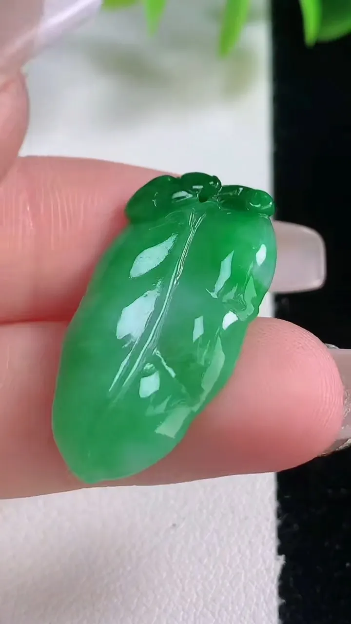 天然A货翡翠金枝玉叶 叶子吊坠，尺寸29.3-14.8-3，重量:3.00g
1月5日