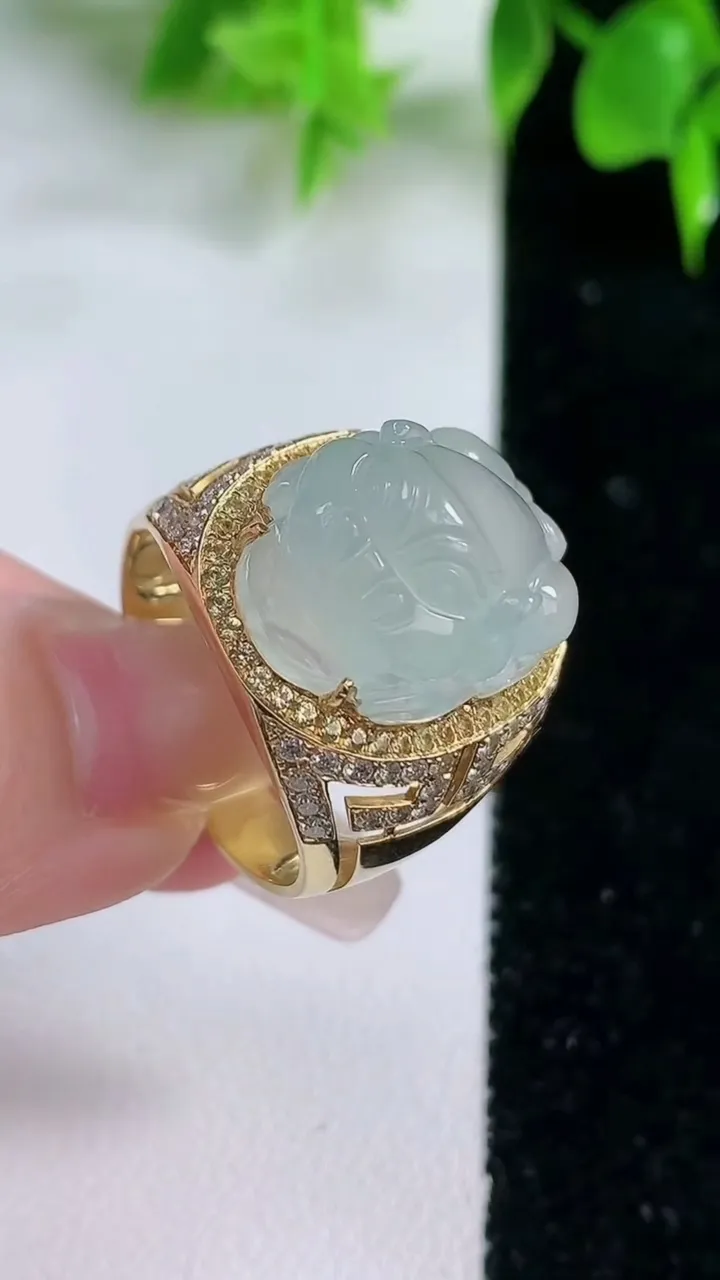 天然A货翡翠种白冰貔貅戒指，尺寸20.7-19-14-11.2，重量:9.54g2026年1月18日
工厂直销收藏佳品,种好水足，色泽均匀，有种有色，上手高大气！