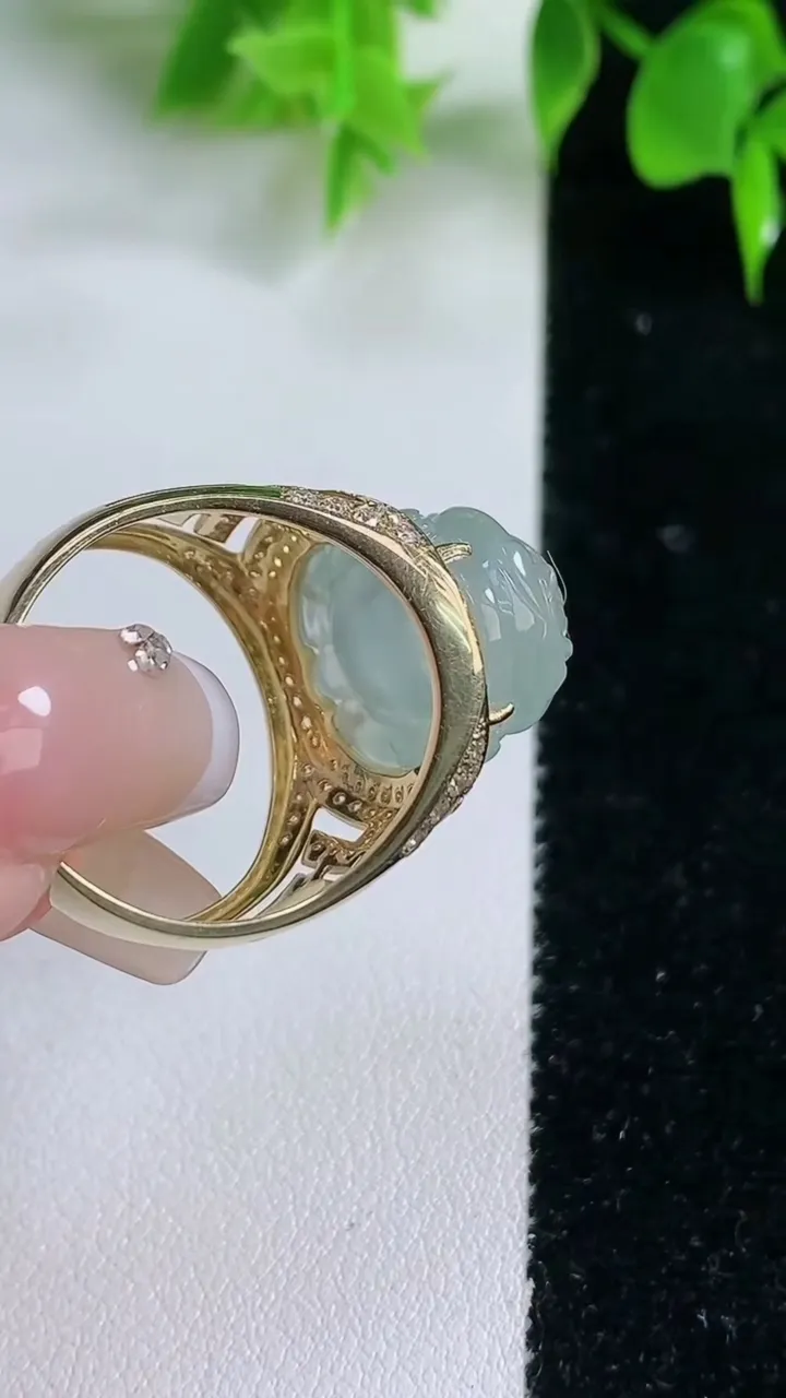 天然A货翡翠种白冰貔貅戒指，尺寸20.7-19-14-11.2，重量:9.54g2026年1月18日
工厂直销收藏佳品,种好水足，色泽均匀，有种有色，上手高大气！