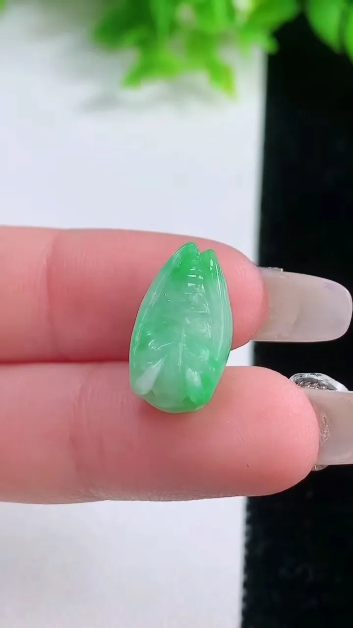 天然A货翡翠一鸣惊人吊坠，尺寸16.5-9.7-7.6，重量:2.53g
1月19日