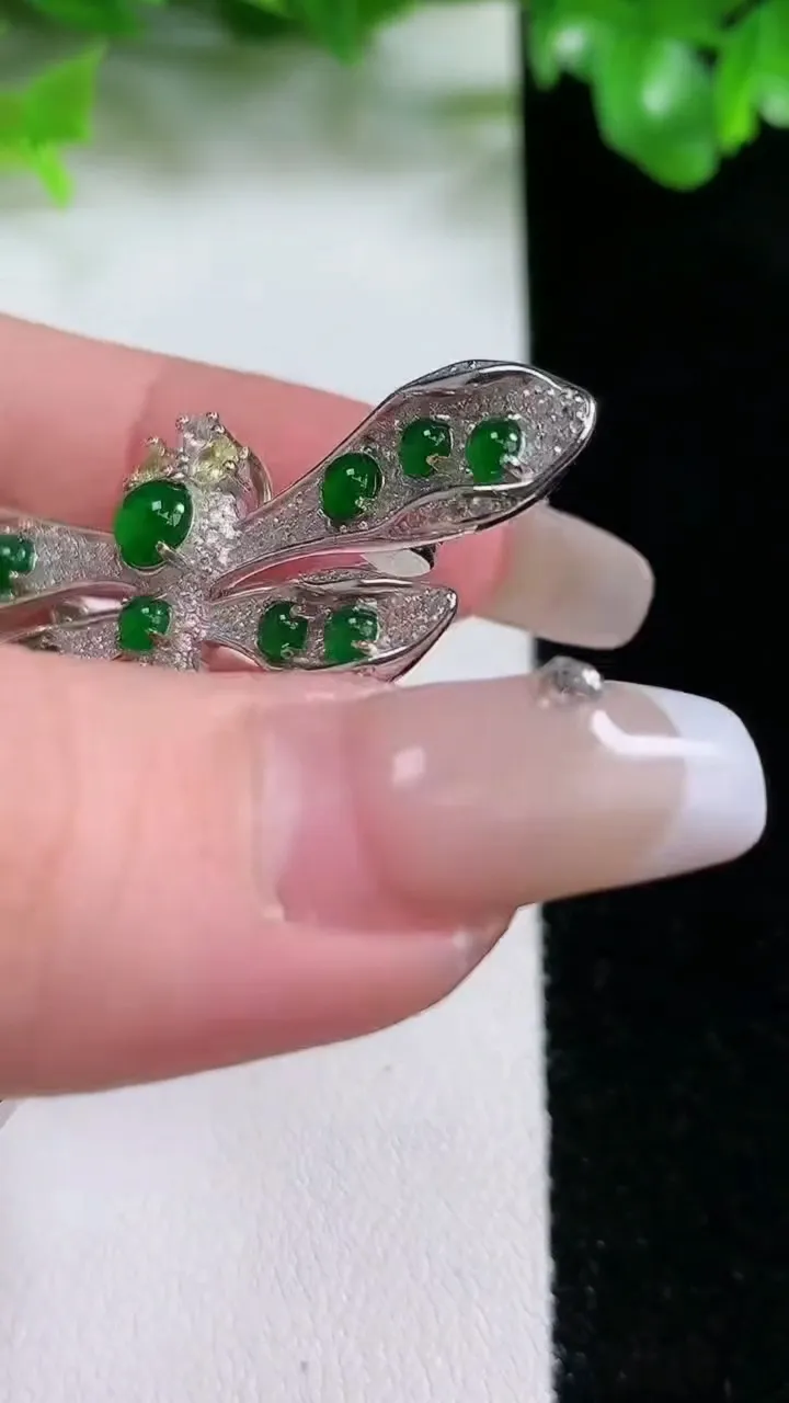 天然A货翡翠蛋面蜻蜓胸针，尺寸5.6，重量:10.94g
1月21日