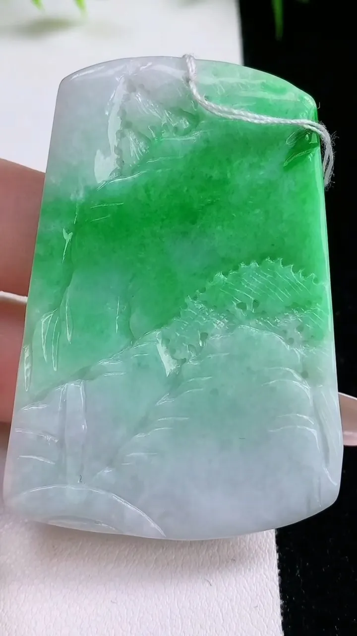 天然A货翡翠山水牌吊坠，尺寸58.3-40.8-5.4，重量:29.60g
1月26日