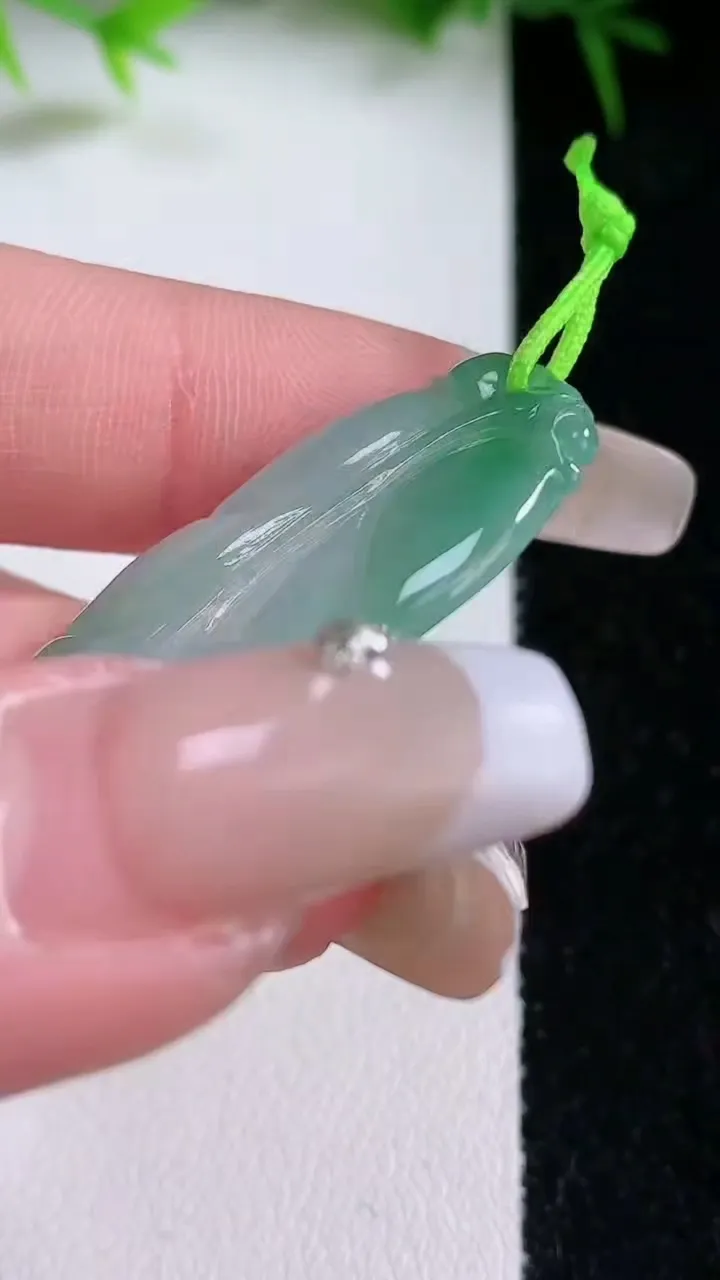 天然A货翡翠金枝玉叶 叶子吊坠，尺寸40.2-17-3，重量:4.60g
1月26日