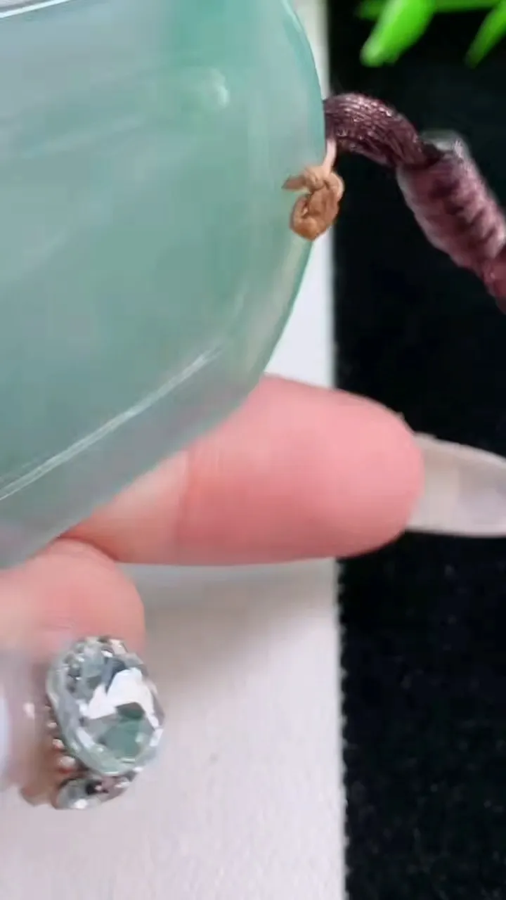 天然A货翡翠龙牌吊坠，尺寸47-39-5.5，重量:21.04g
1月30日