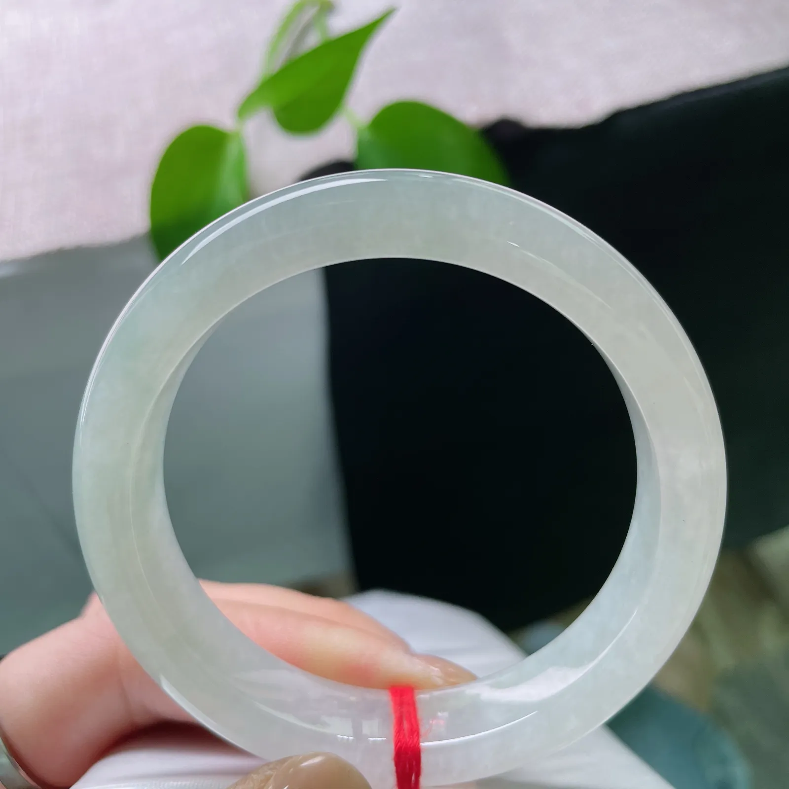 54.8/12/8.4，晴底正圈，种老，清幽雅致，冰清玉洁，一片冰心在玉壶，完美