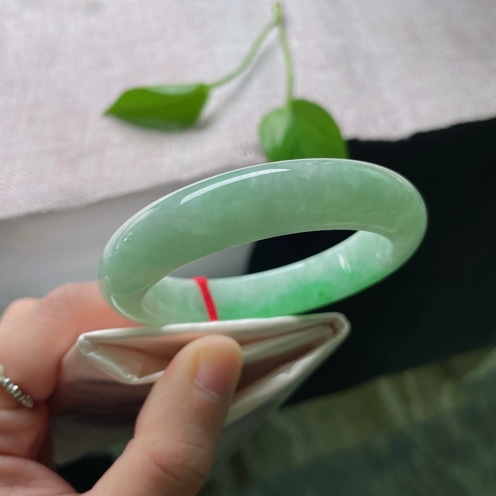 私人专拍
53.9/12.8/8.8，绿底正圈，种老，绿底含章藏秀色，温润凝光映芳华。完美。