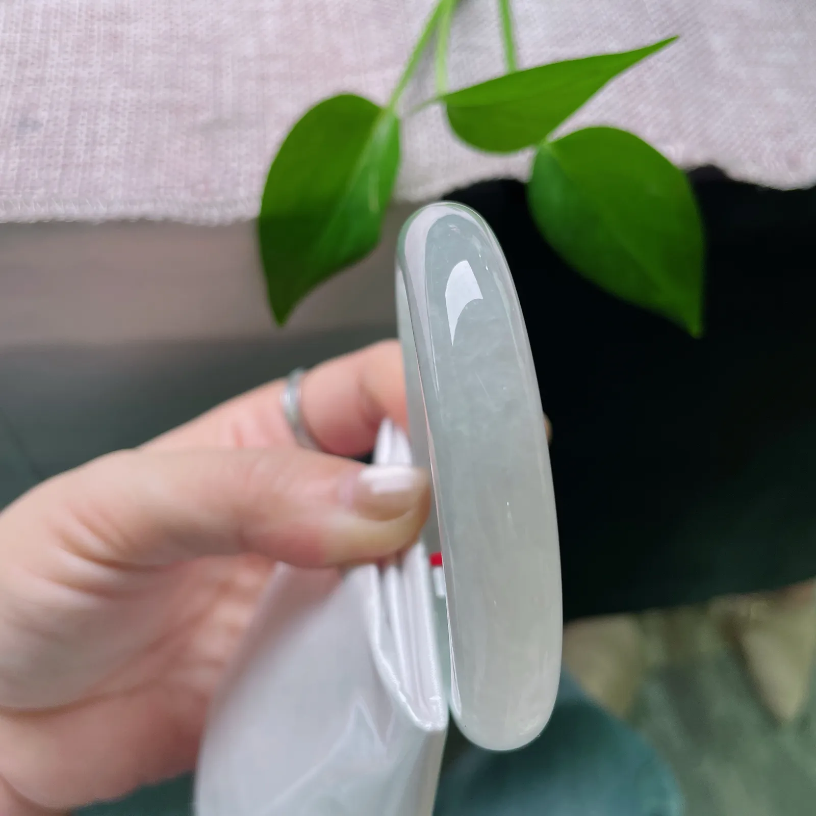 54.8/12/8.4，晴底正圈，种老，清幽雅致，冰清玉洁，一片冰心在玉壶，完美