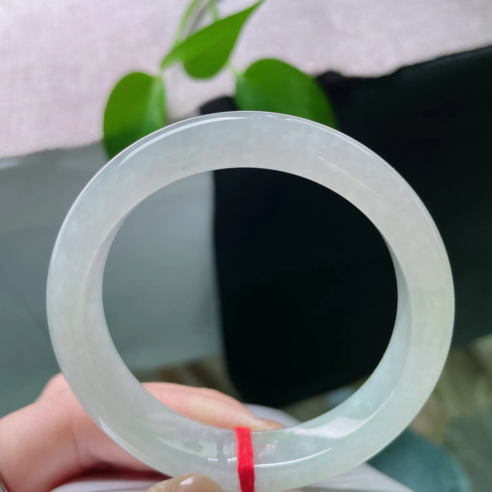 54.8/12/8.4，晴底正圈，种老，清幽雅致，冰清玉洁，一片冰心在玉壶，完美