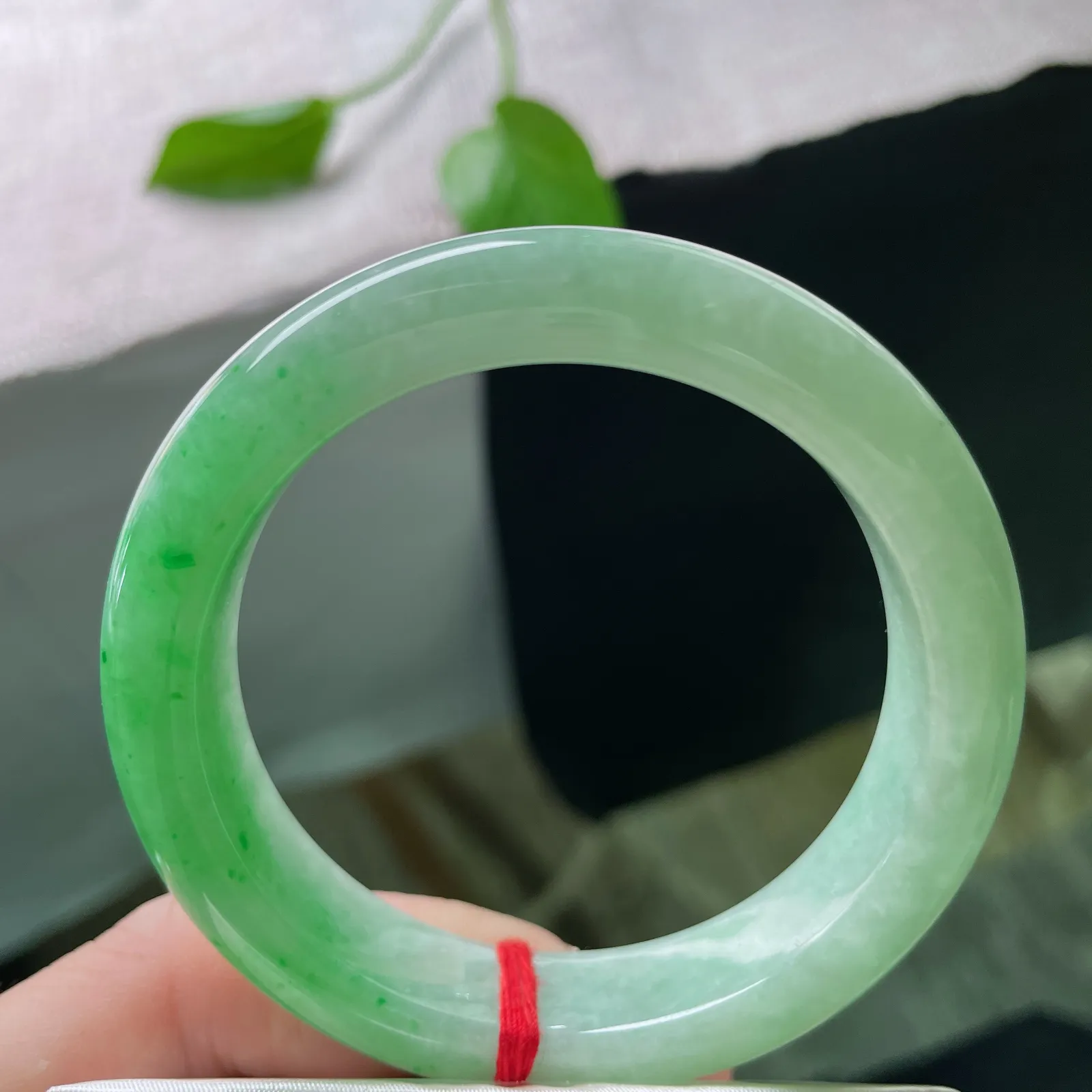 私人专拍
53.9/12.8/8.8，绿底正圈，种老，绿底含章藏秀色，温润凝光映芳华。完美。