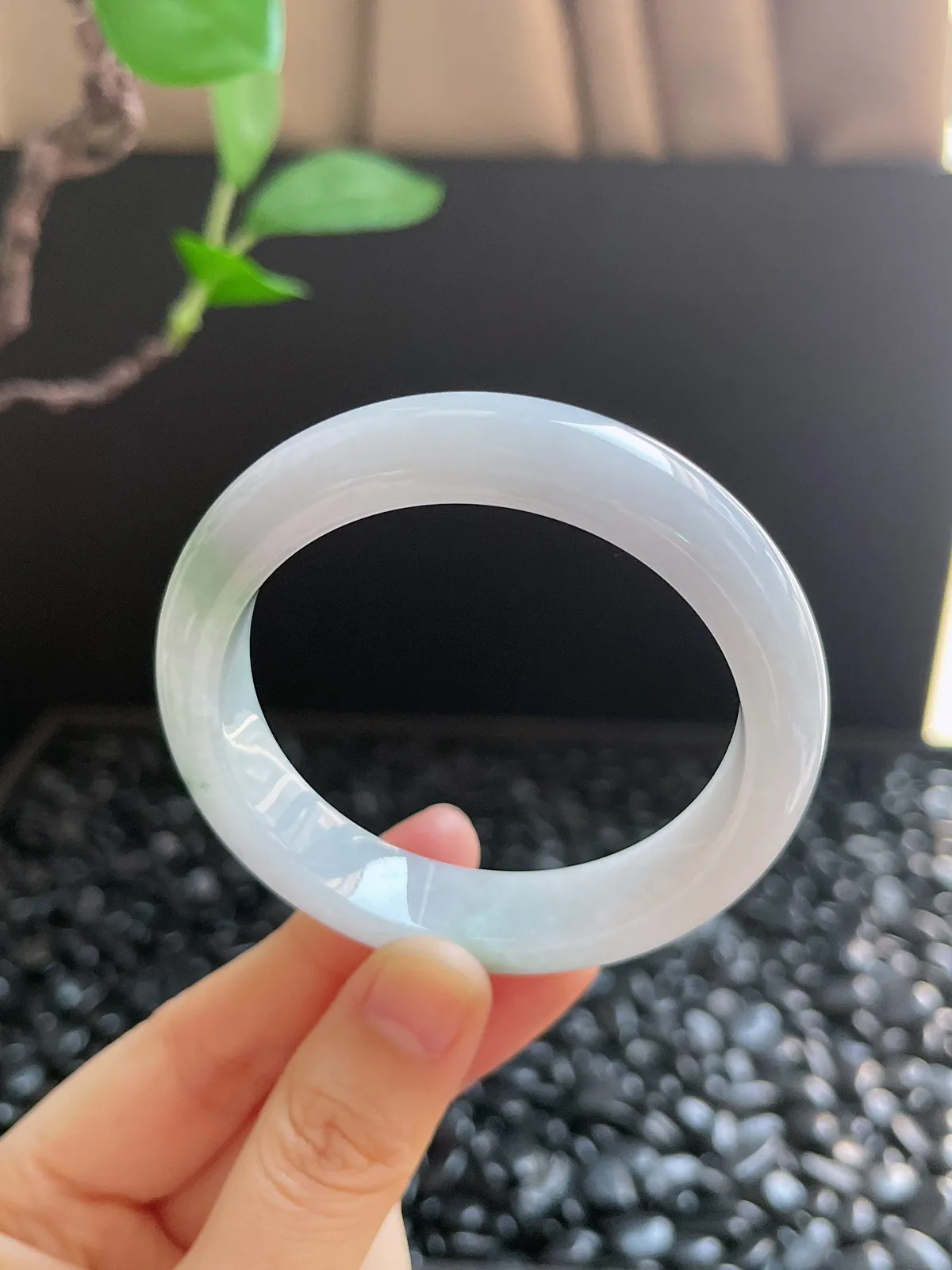 正圈51.5圈口，翡翠糯化种飘花手镯