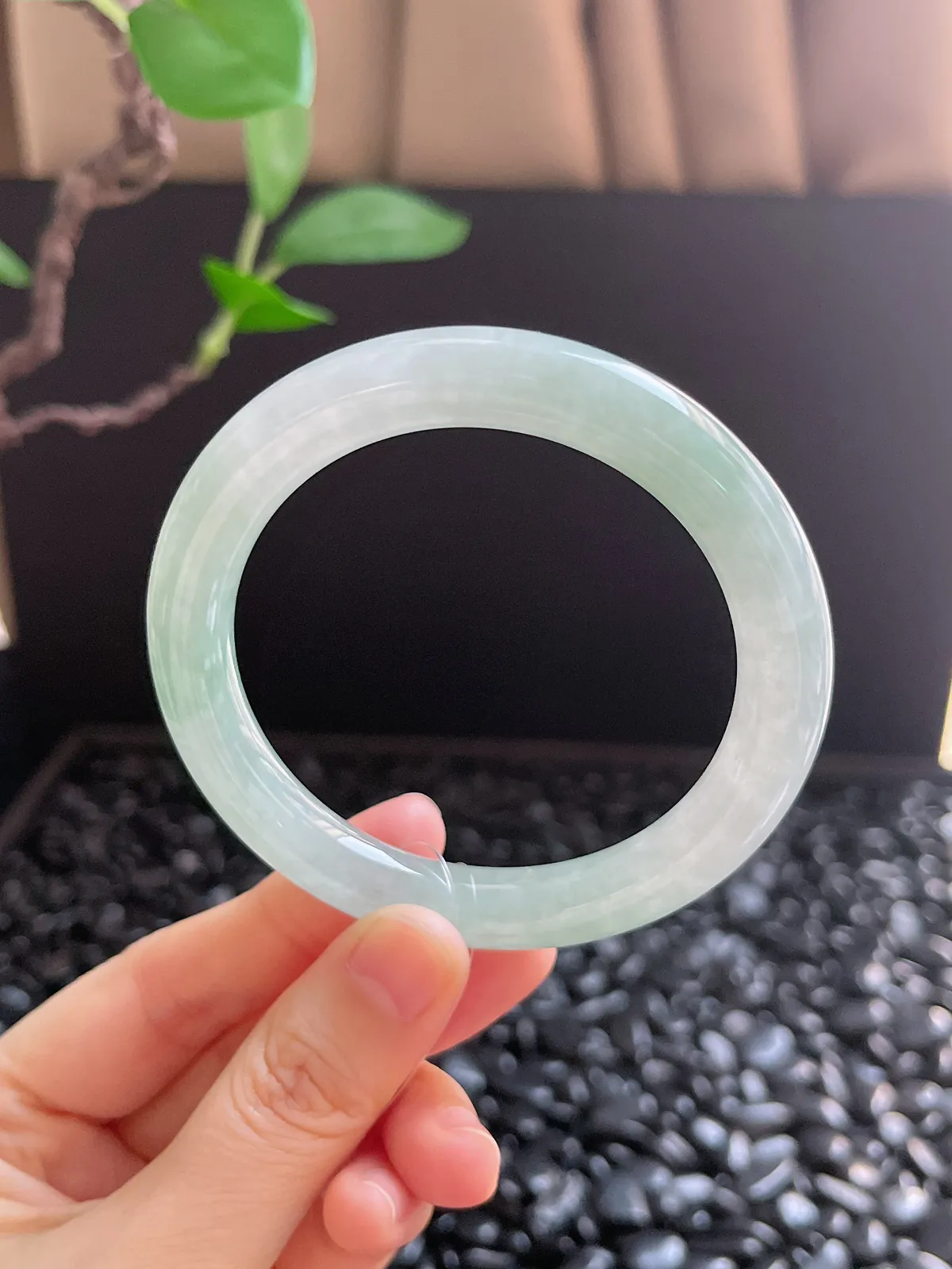 圆镯55.3圈口，翡翠冰糯种绿色手镯