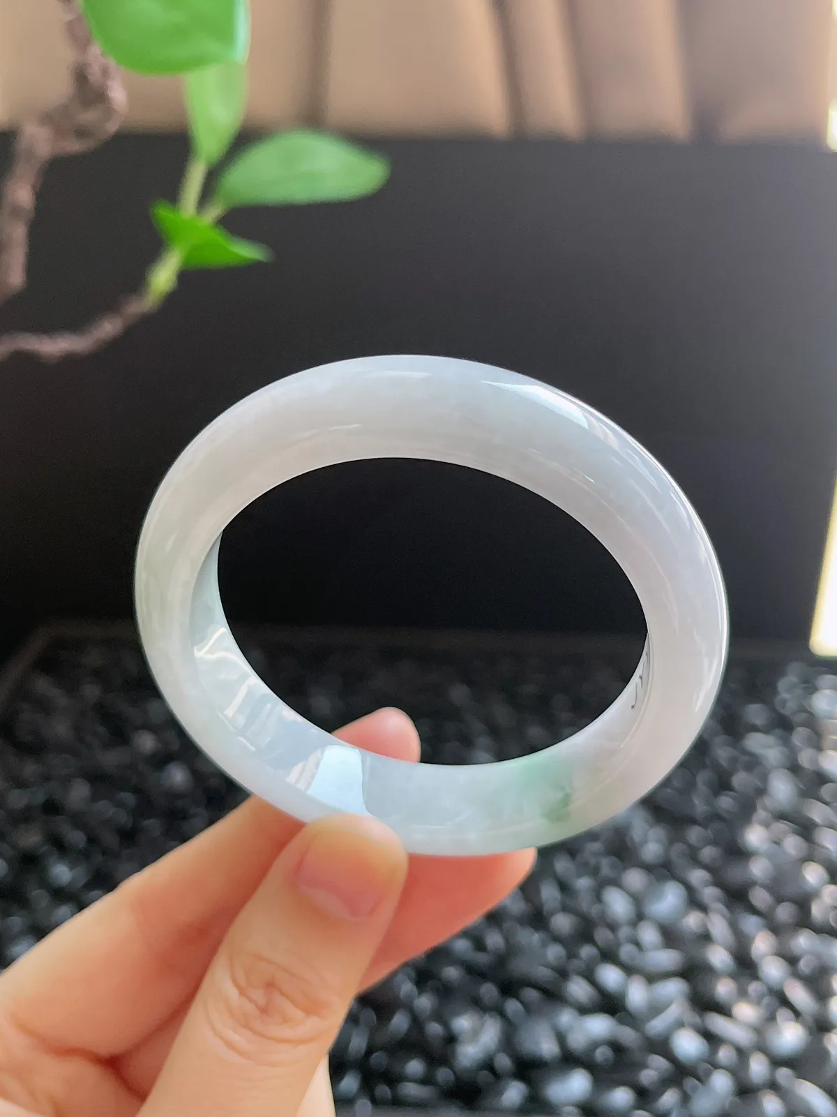 正圈51.5圈口，翡翠糯化种飘花手镯