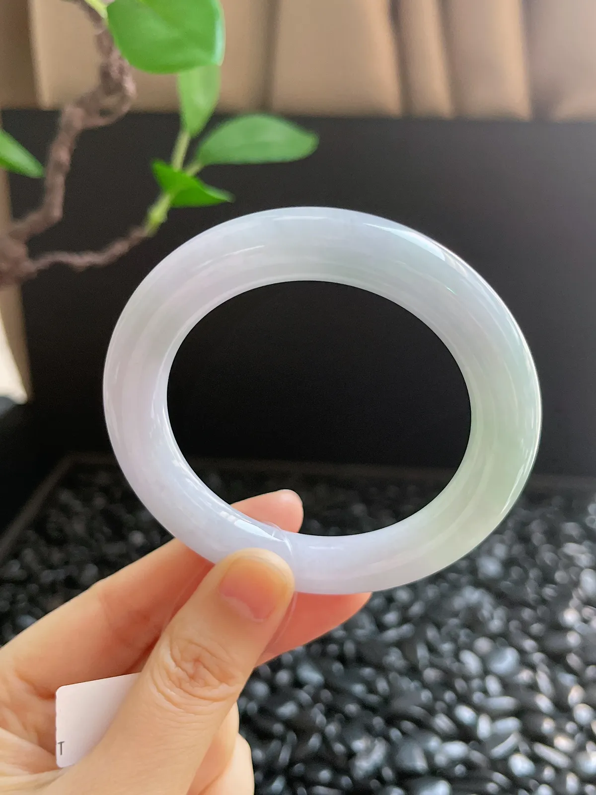 圆镯53圈口，翡翠糯化种淡绿色手镯