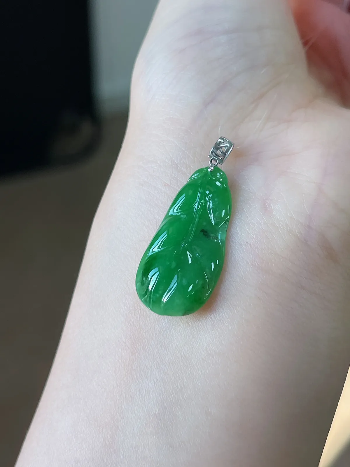 翡翠糯化种绿色叶子