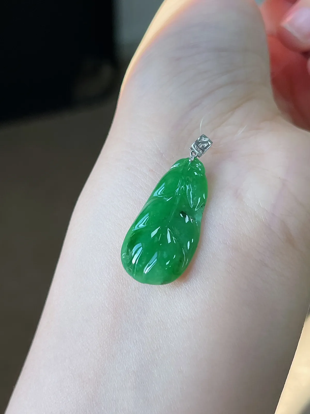 翡翠糯化种绿色叶子