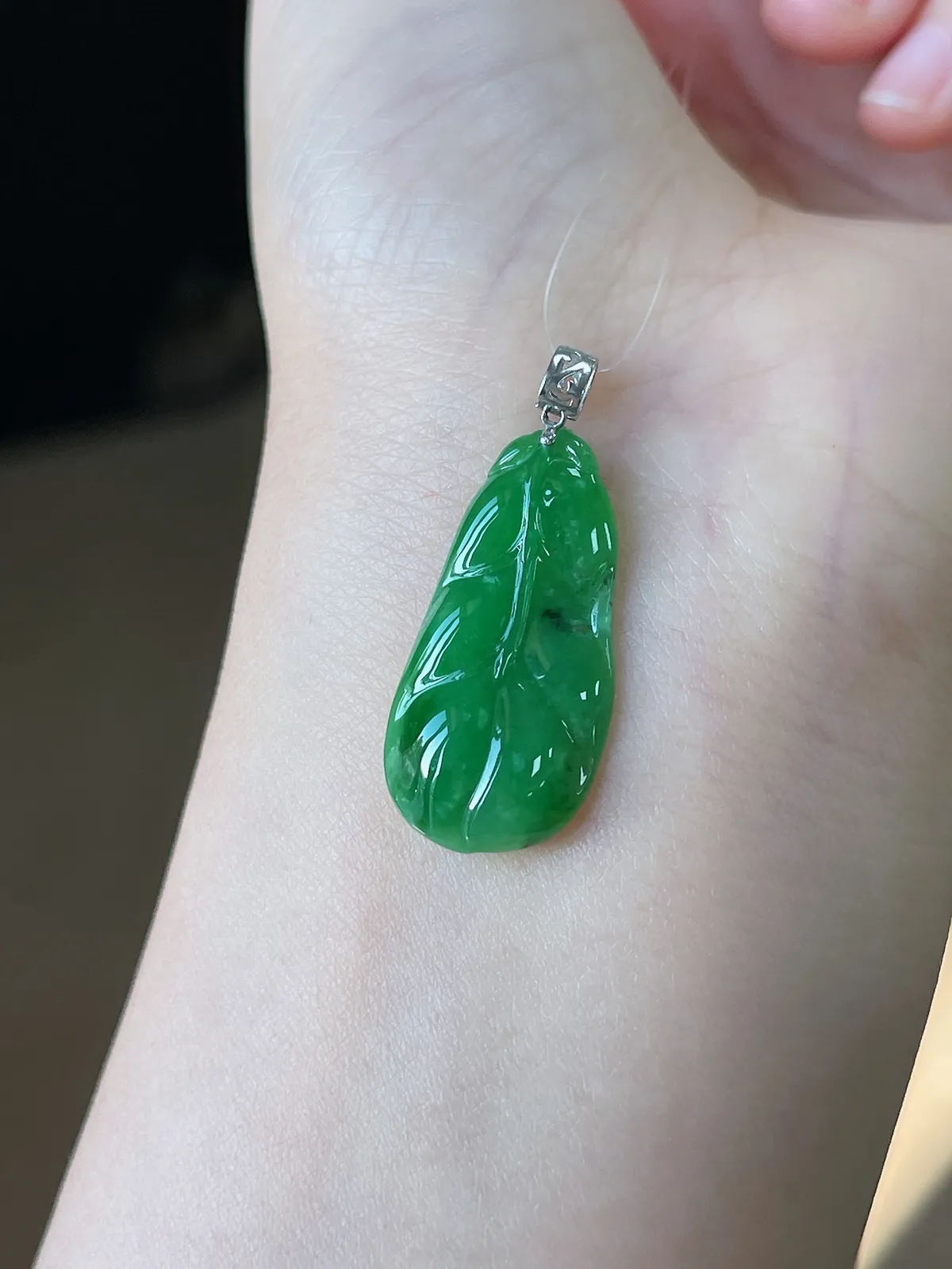 翡翠糯化种绿色叶子