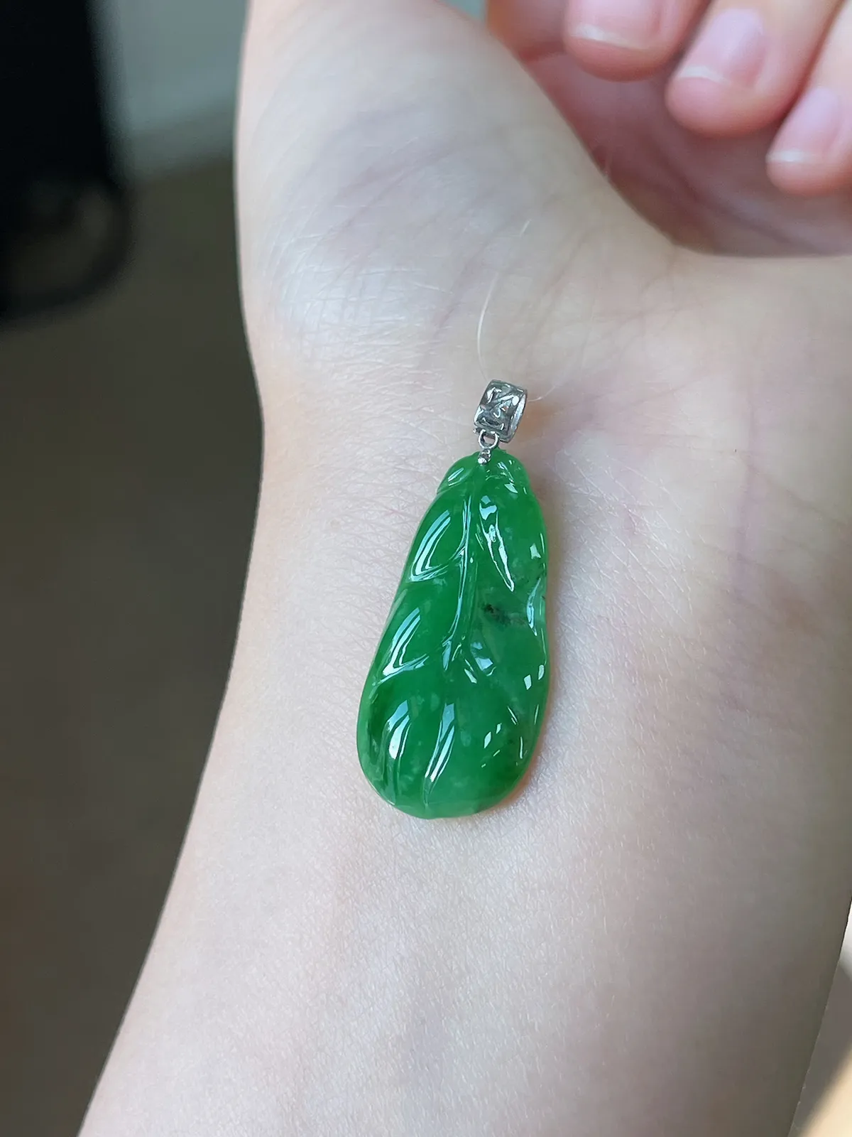 翡翠糯化种绿色叶子