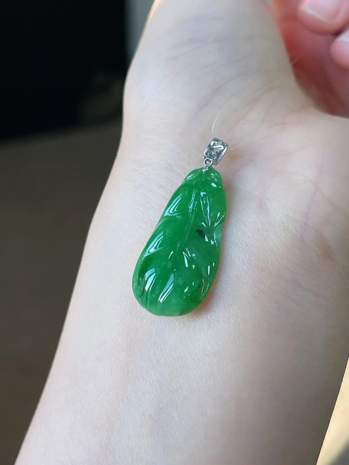 翡翠糯化种绿色叶子