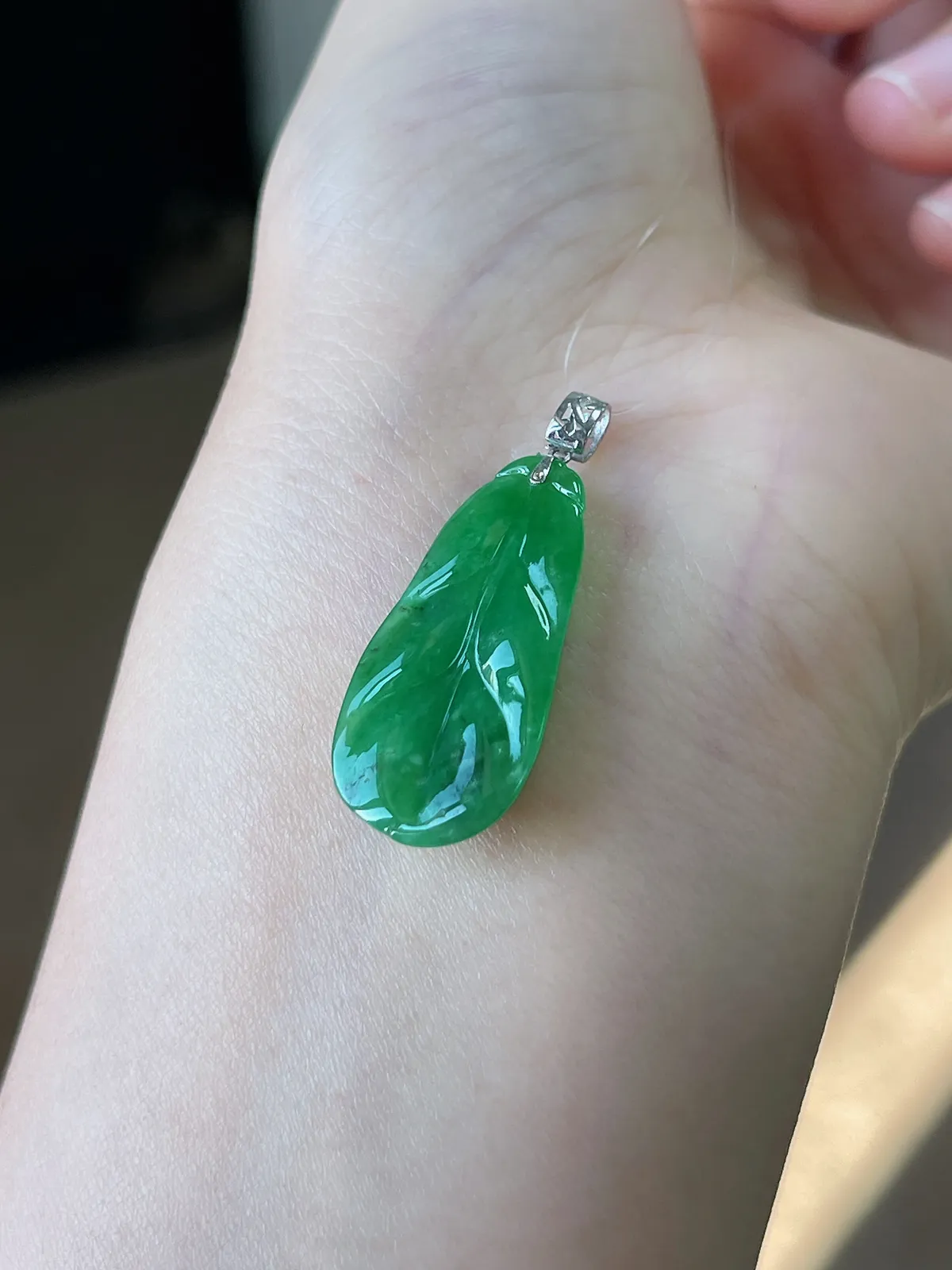 翡翠糯化种绿色叶子