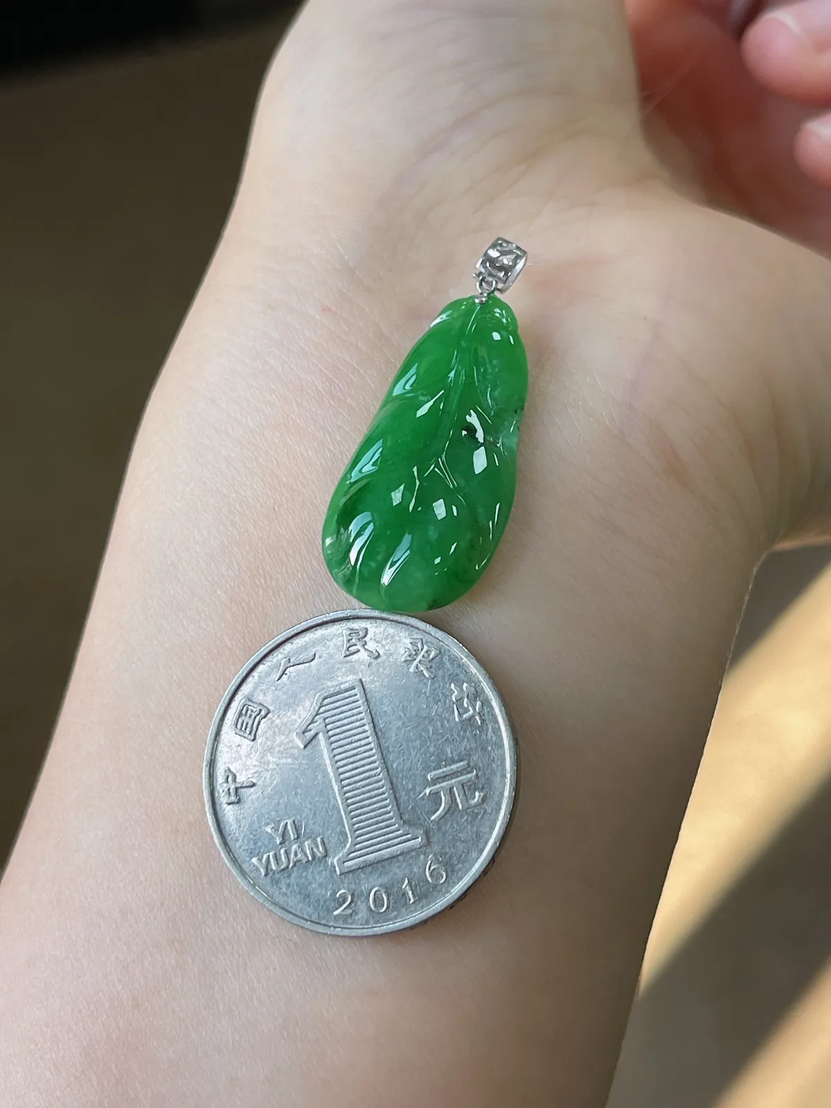 翡翠糯化种绿色叶子