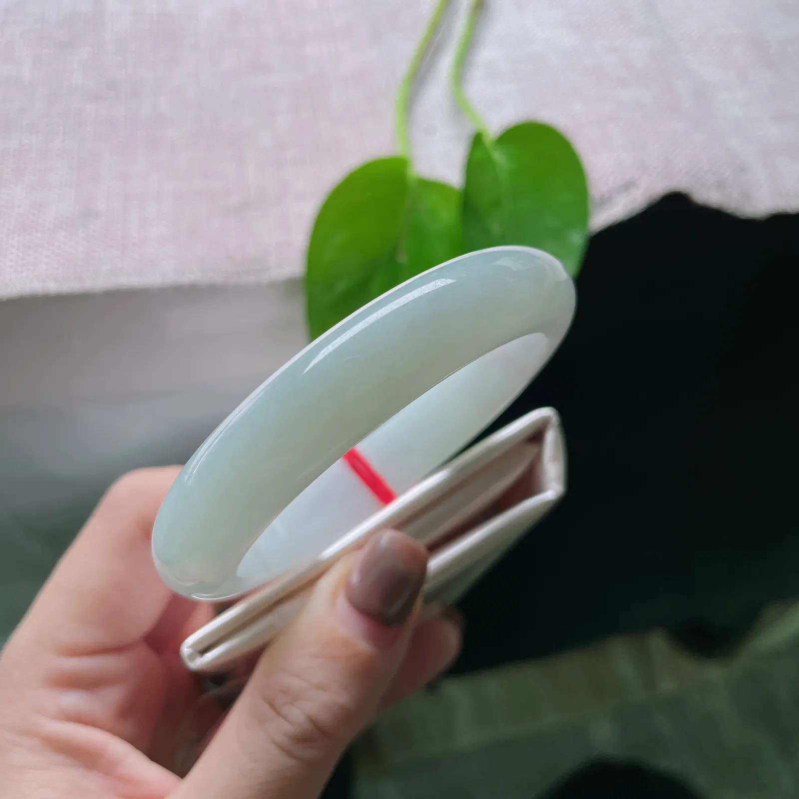 55/11.9/8.3，淡绿底正圈，色淡，清秀迷人，料子干净，清爽。