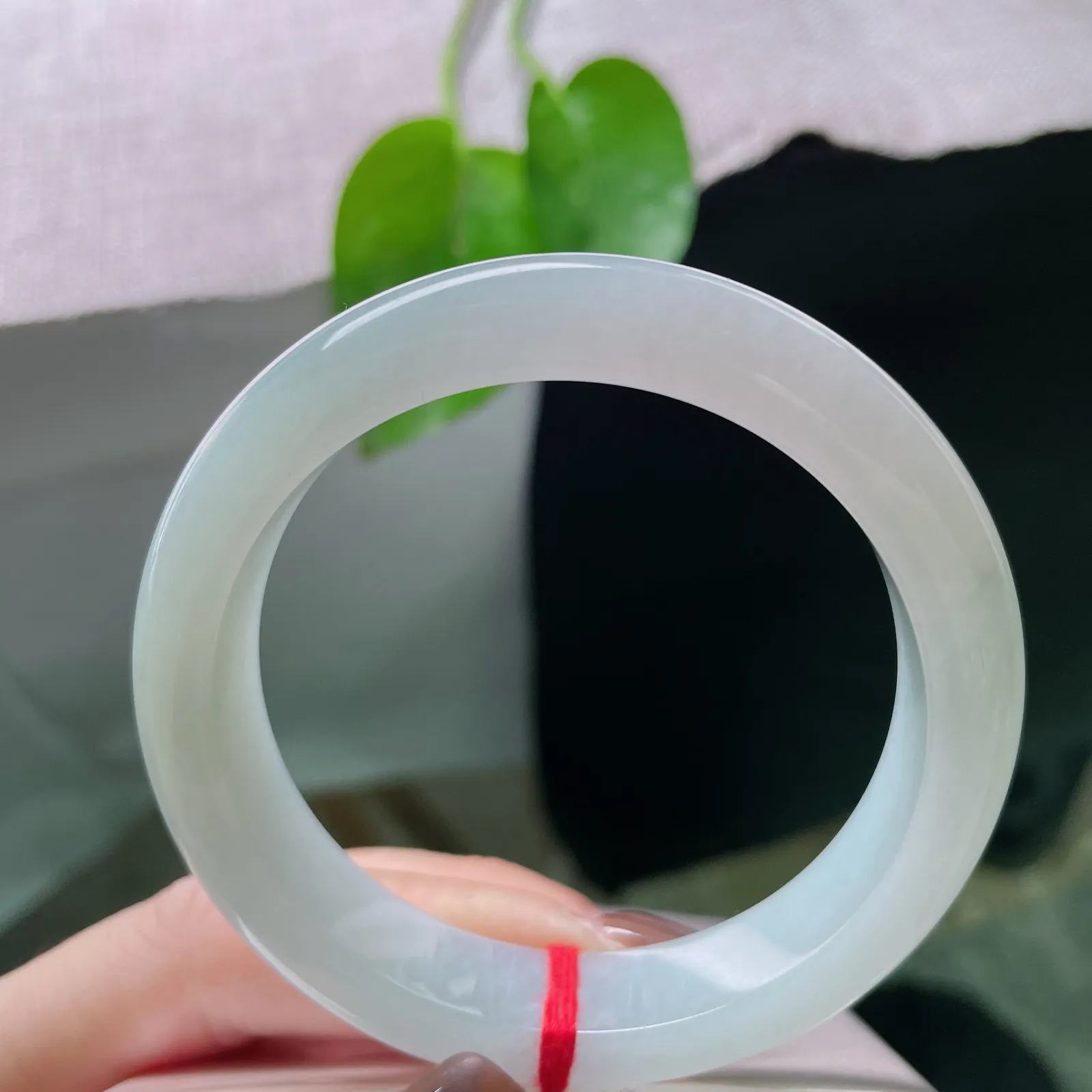 55/11.9/8.3，淡绿底正圈，色淡，清秀迷人，料子干净，清爽。