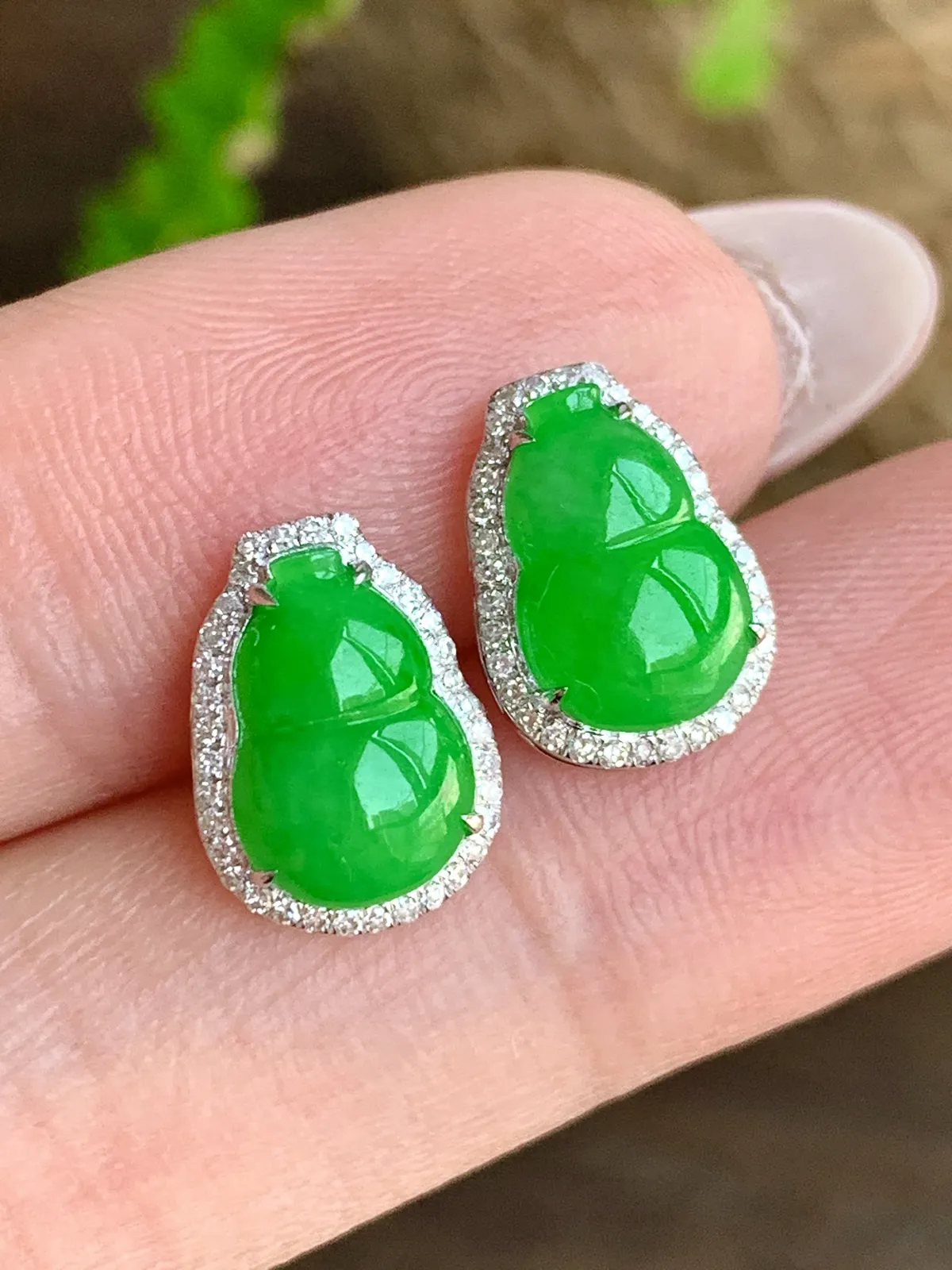 冰阳绿葫芦耳钉
尺寸 12-8.7-4.8