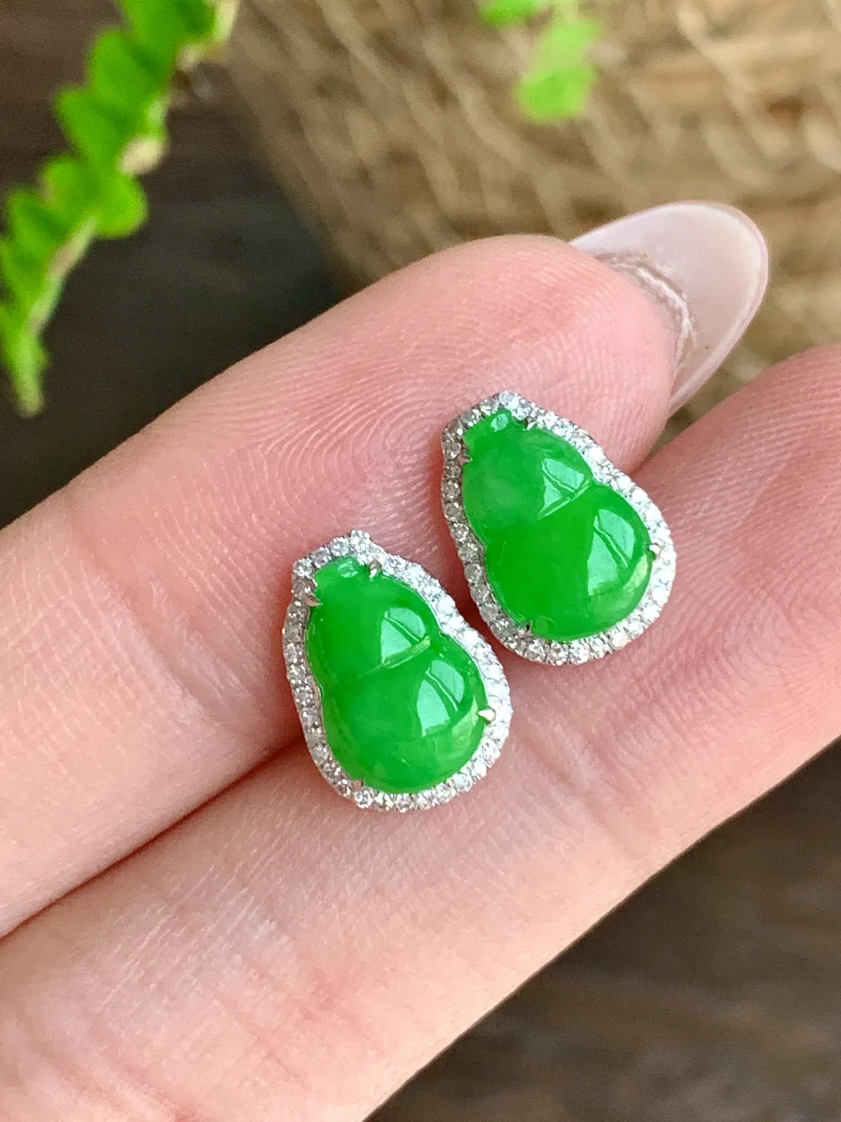 冰阳绿葫芦耳钉
尺寸 12-8.7-4.8