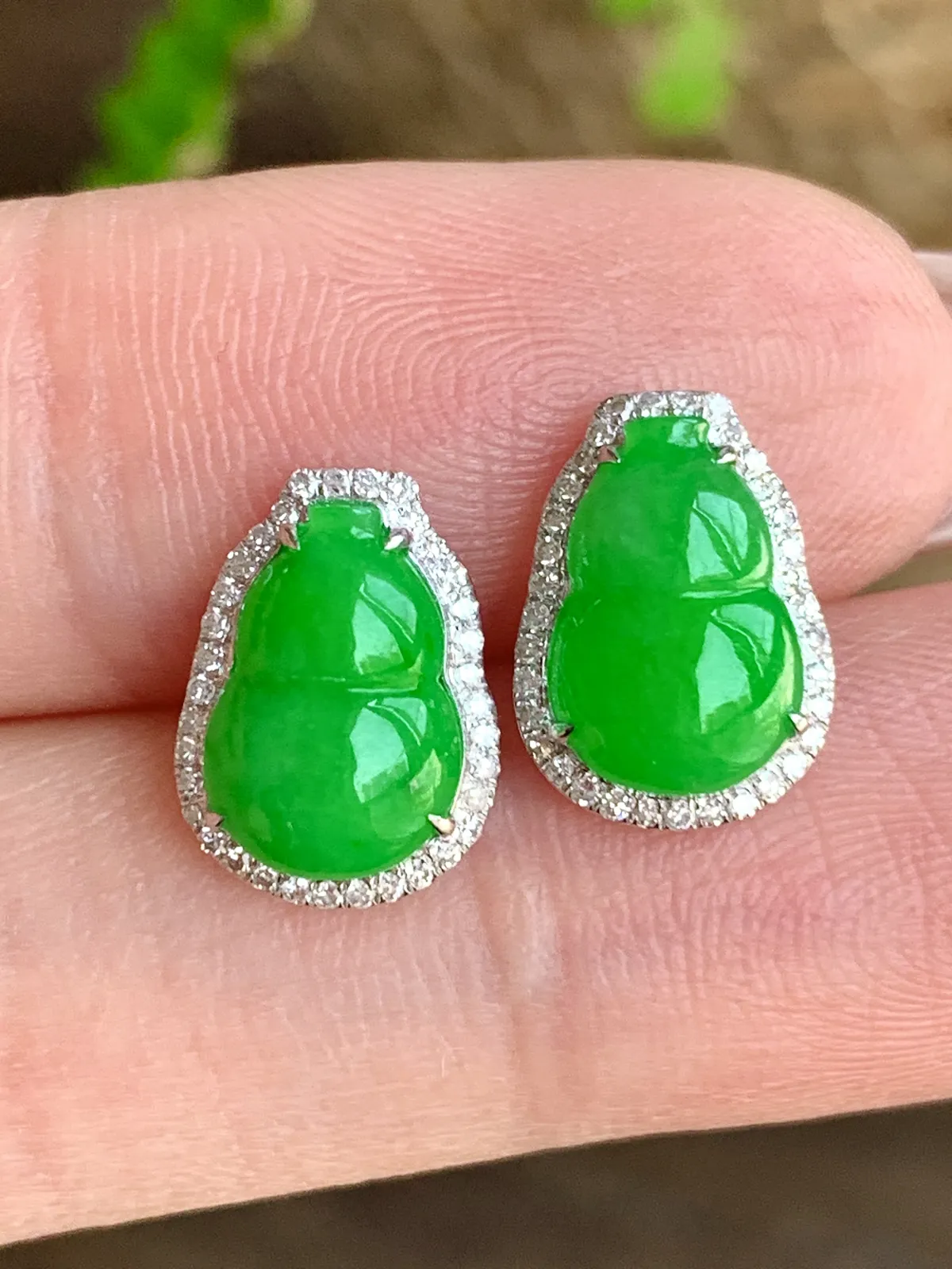 冰阳绿葫芦耳钉
尺寸 12-8.7-4.8