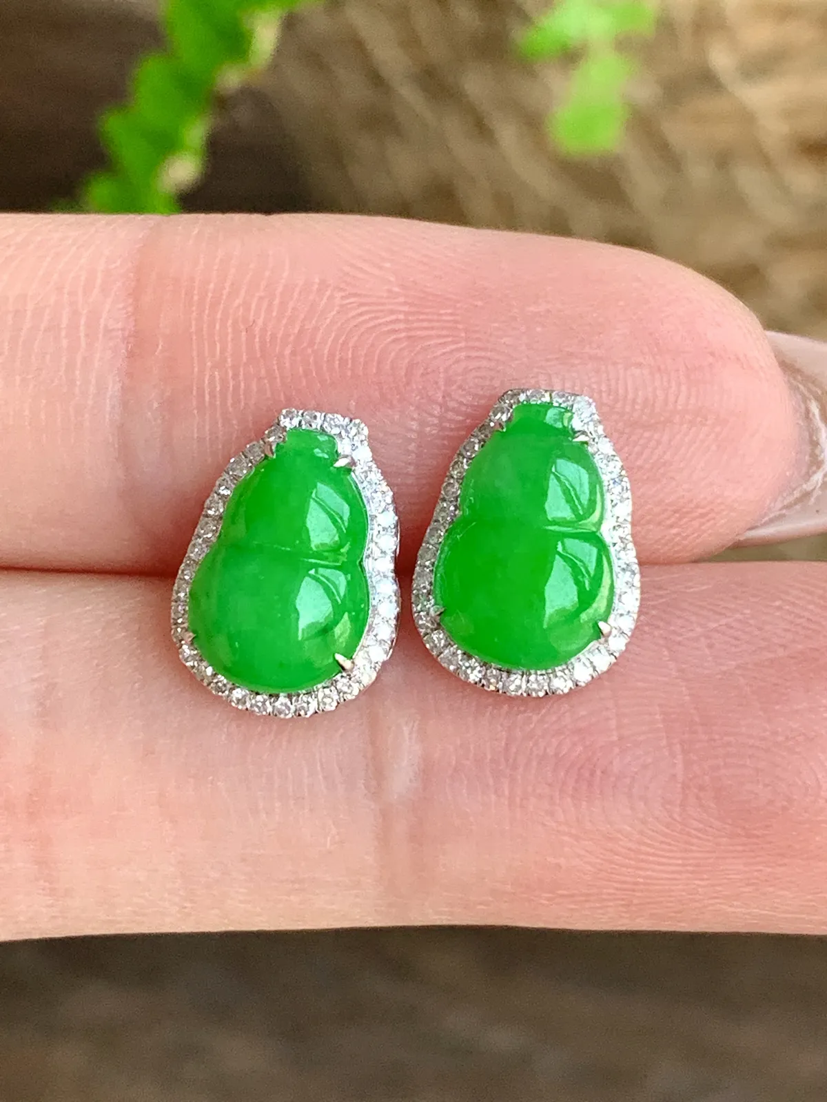 冰阳绿葫芦耳钉
尺寸 12-8.7-4.8