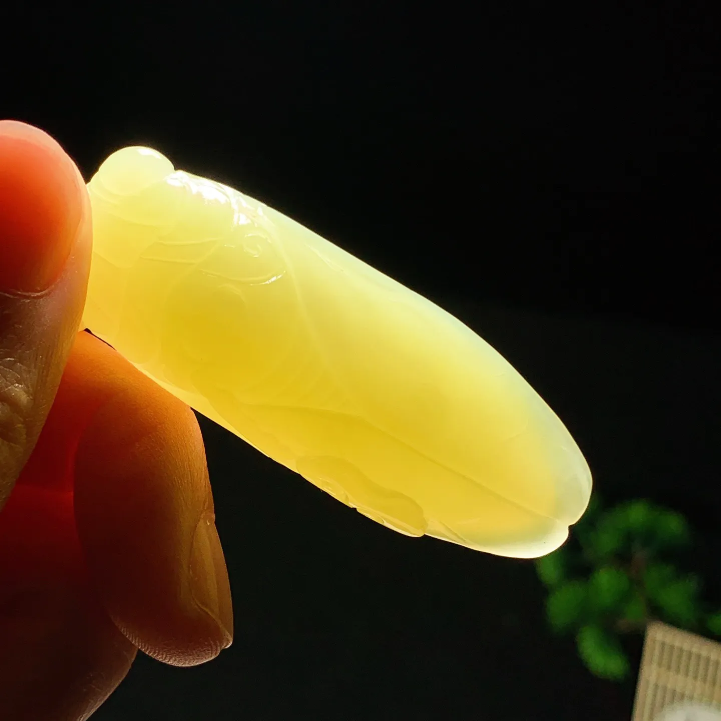 新疆和田玉若羌黄口料一鸣惊人挂件。 尺寸58/21/11mm重26.5克。玉质细腻油润。手推出油。品相大气 lt260119