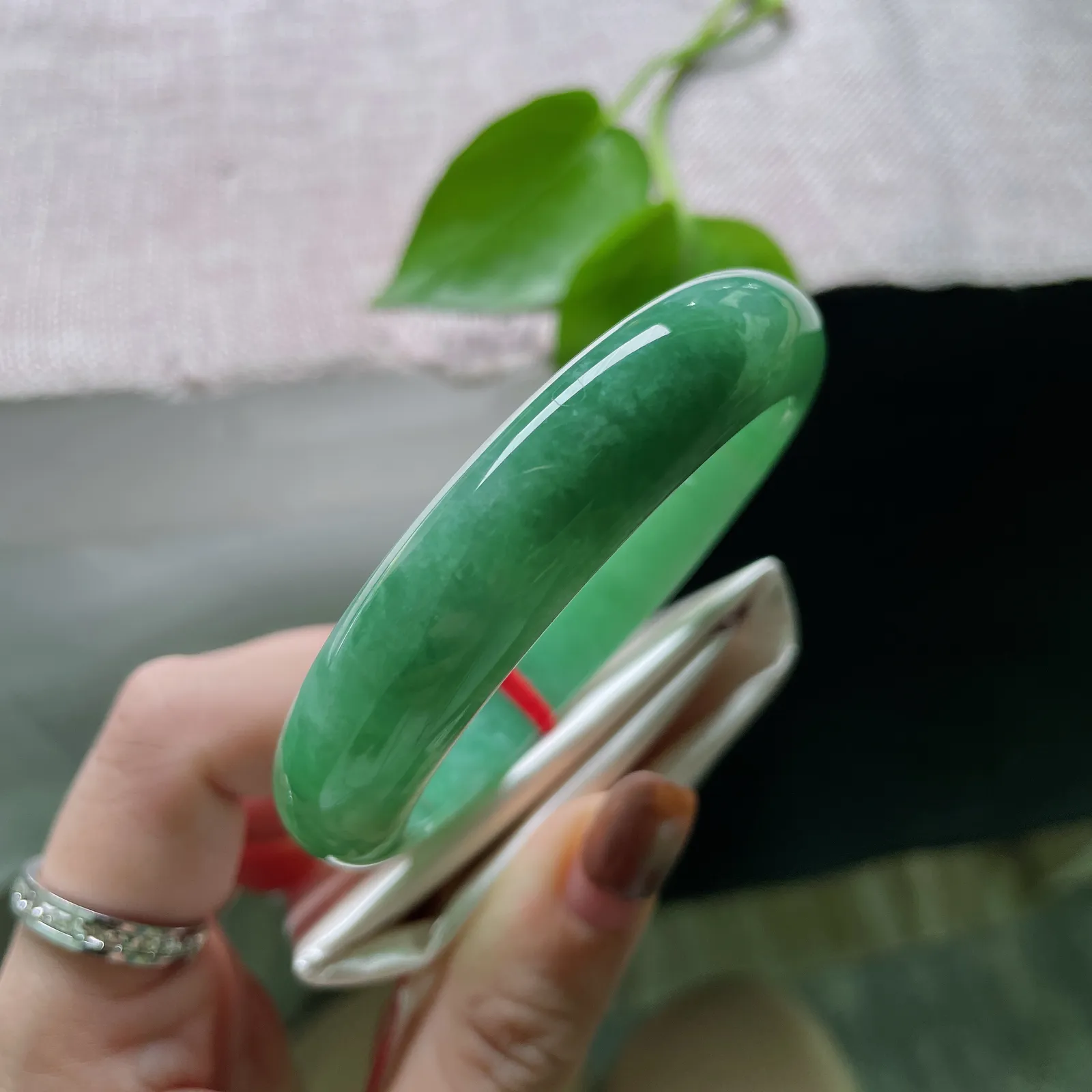 56.3/13.3/8.5，绿豆底正圈，贵气，耐看，春色满园，沉稳大气，完美