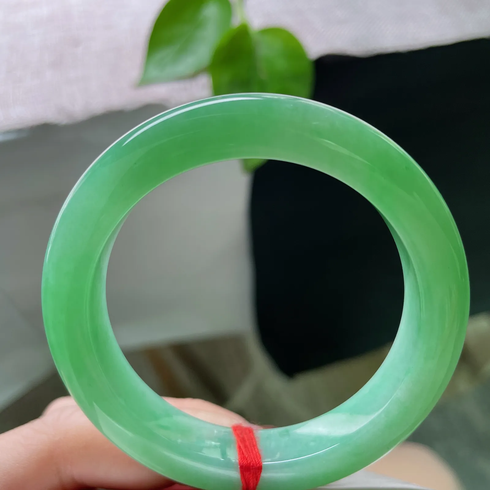 53.1/11.5/9.2绿底正圈，水润细腻，翠色伊人，郁郁葱葱，生机勃勃～