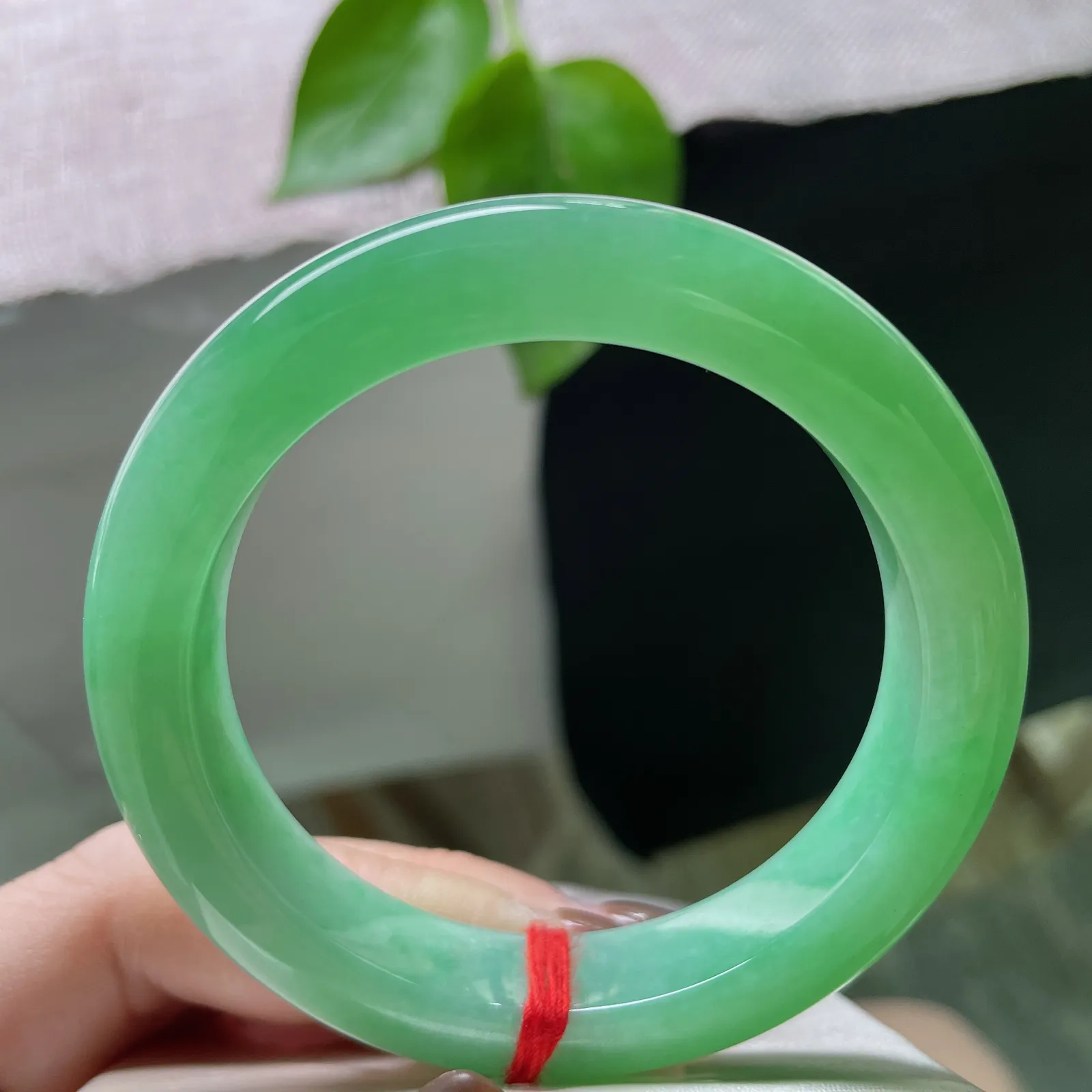 53.1/11.5/9.2绿底正圈，水润细腻，翠色伊人，郁郁葱葱，生机勃勃～