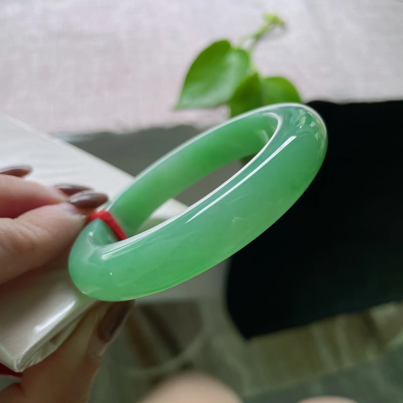 53.1/11.5/9.2绿底正圈，水润细腻，翠色伊人，郁郁葱葱，生机勃勃～