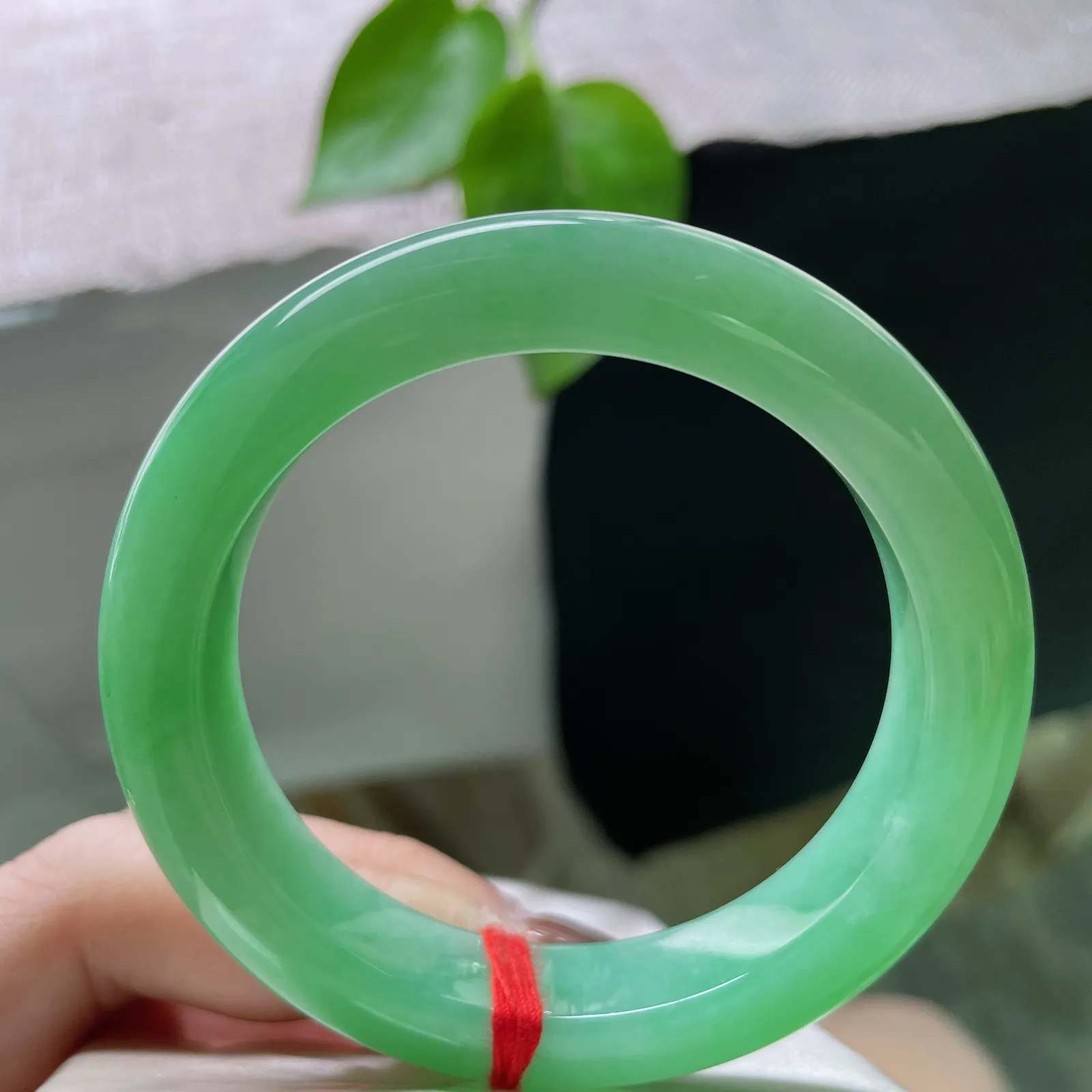 53.1/11.5/9.2绿底正圈，水润细腻，翠色伊人，郁郁葱葱，生机勃勃～