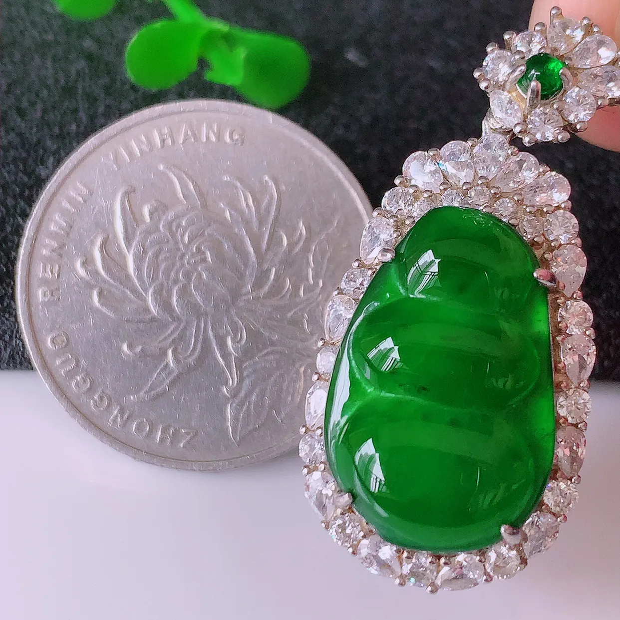 冰透满绿翡翠925银镶嵌四季豆吊坠，自然光实拍，翠色灵动，颜色漂亮，种老水足，品相佳，佩戴佳品！#97.16整体35.5-16.5-10 裸石 19.5*13