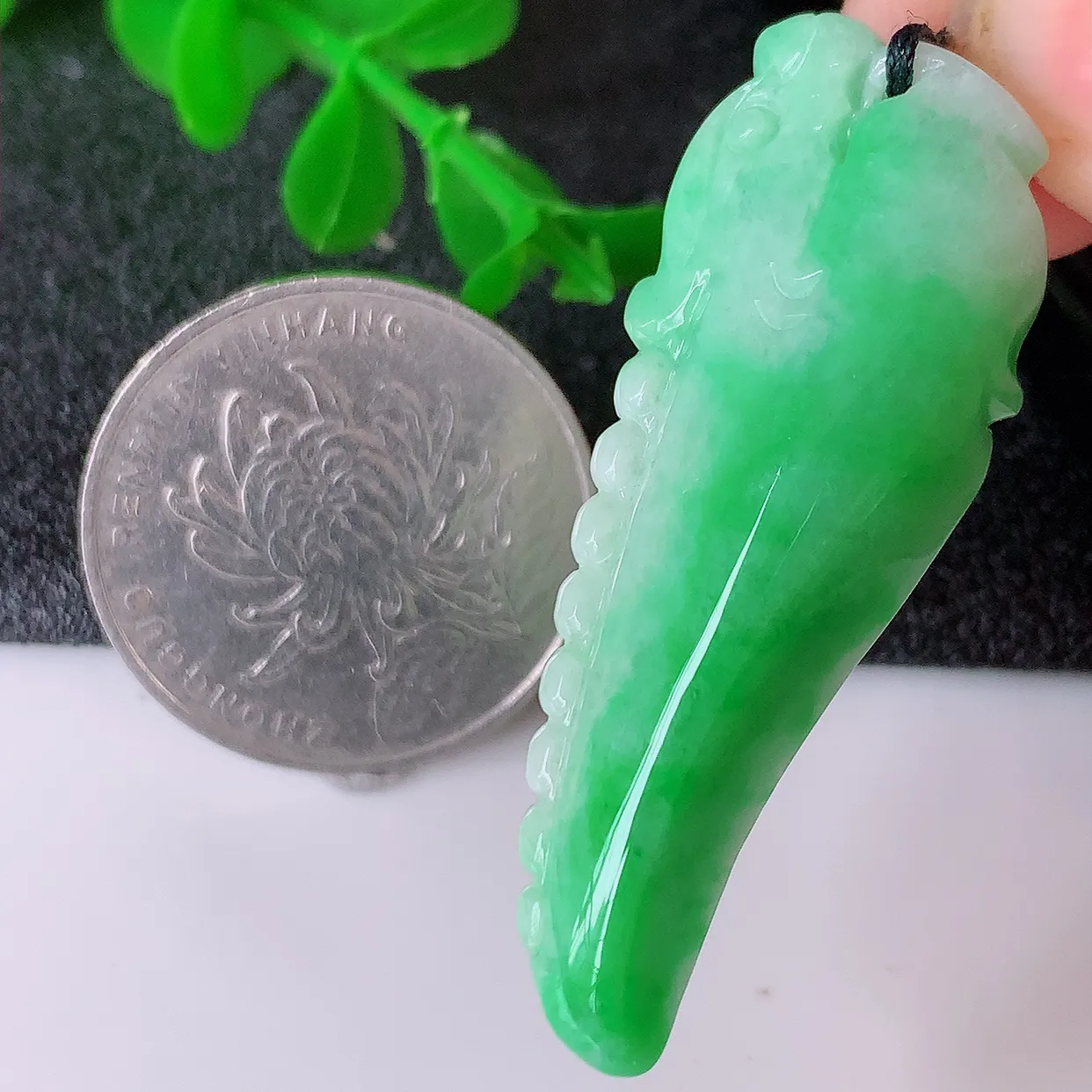 自然光实拍，水润飘绿翡翠招财龙牙吊坠，翠色灵动，玉质细腻，颜色漂亮， 品相佳， 佩戴佳品！#87.16