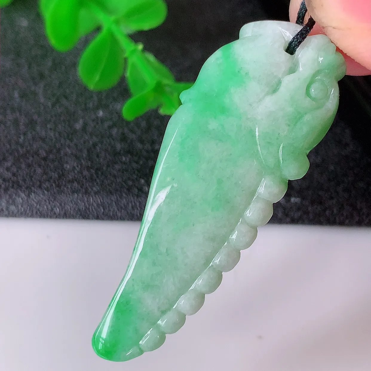 自然光实拍，水润飘绿翡翠招财龙牙吊坠，翠色灵动，玉质细腻，颜色漂亮， 品相佳， 佩戴佳品！#87.16