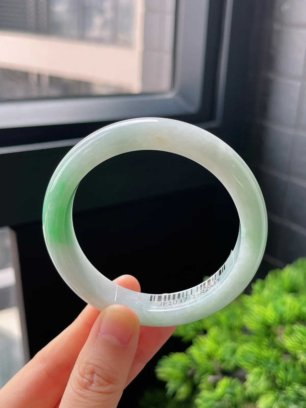 正圈55.6圈口，翡翠糯化种飘绿白底青手镯