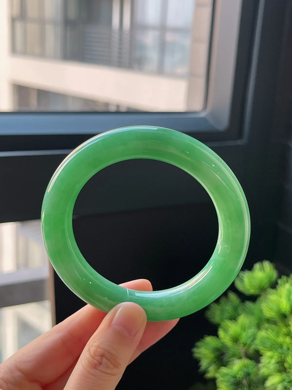 圆镯57圈口，翡翠糯化种满绿手镯