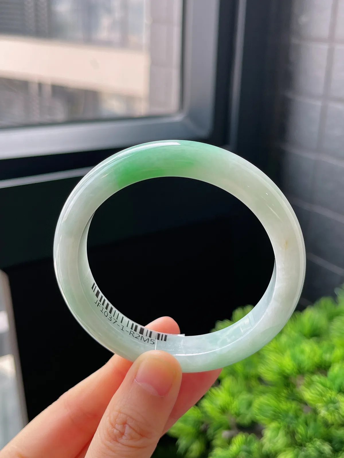 正圈55.6圈口，翡翠糯化种飘绿白底青手镯