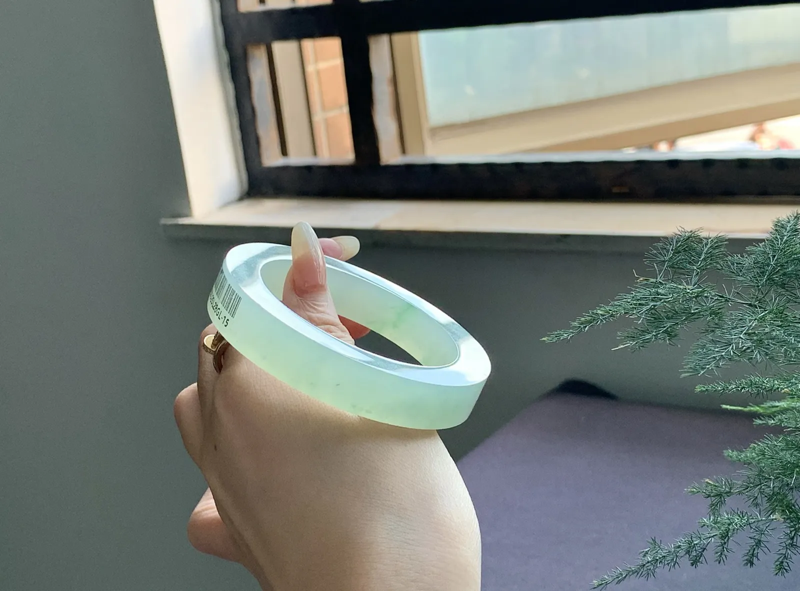 【冰芙蓉绿带花】