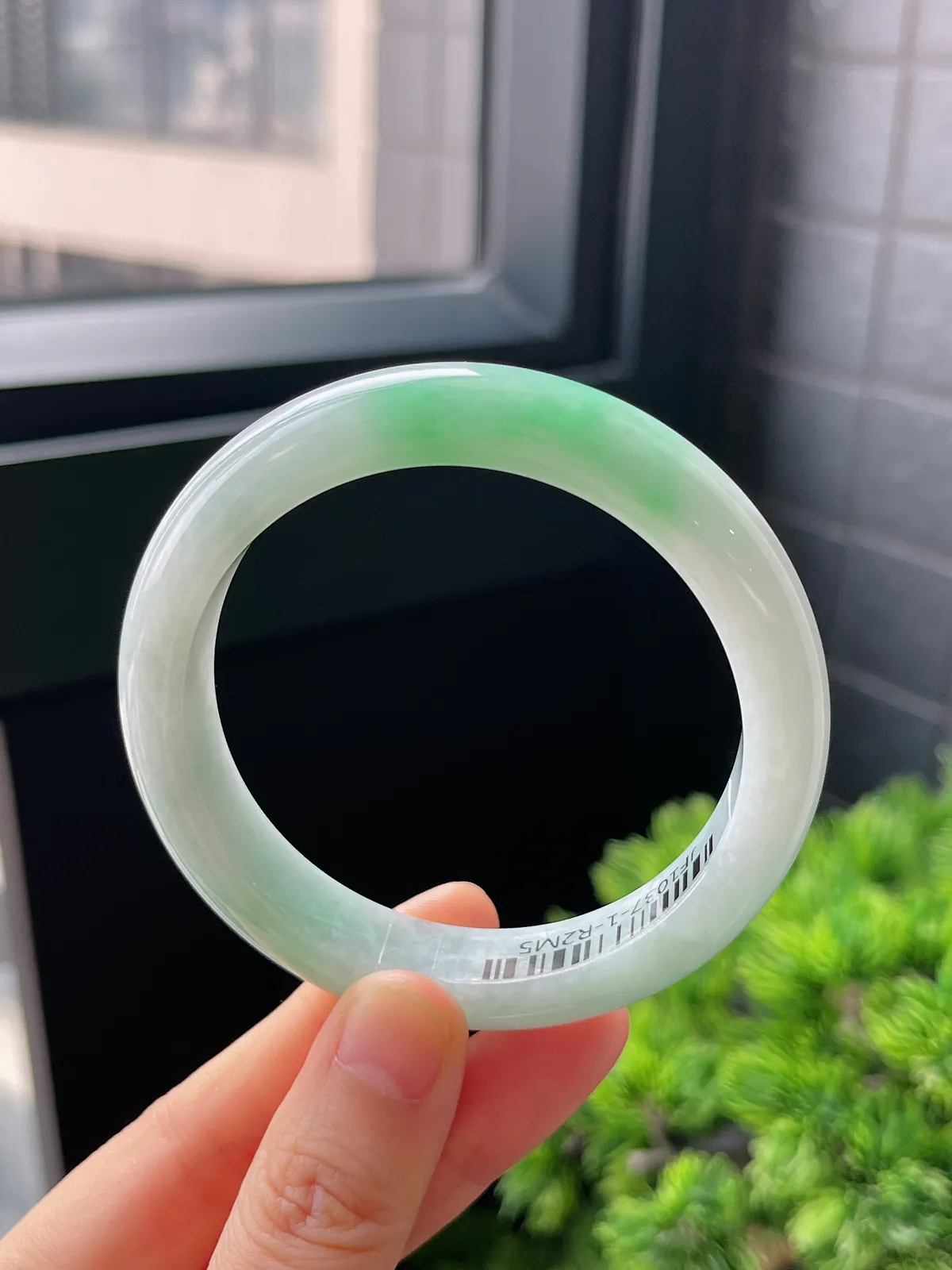 正圈55.6圈口，翡翠糯化种飘绿白底青手镯