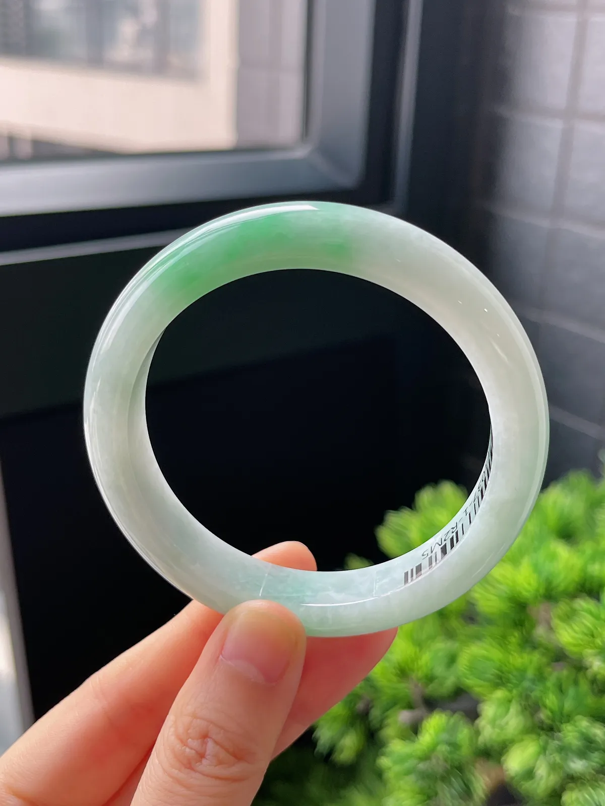 正圈55.6圈口，翡翠糯化种飘绿白底青手镯